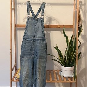 Madewell Skinny Stretch Side Zip Overalls, S